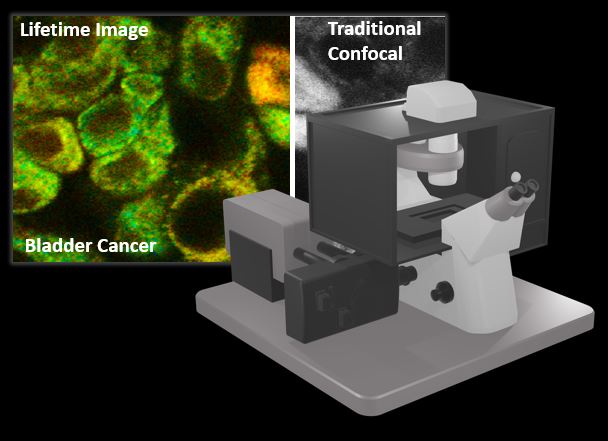 Becker & Hickl (B&H)  metabolic imaging tool