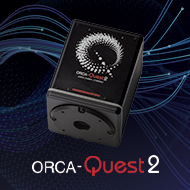 ORCA Quest2