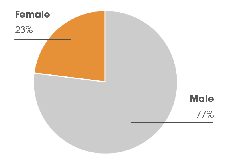 Photonics 100 2024 pie chart gender split