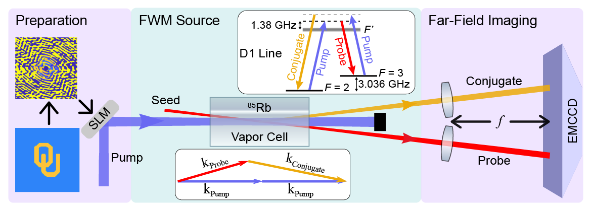 Experimental setup