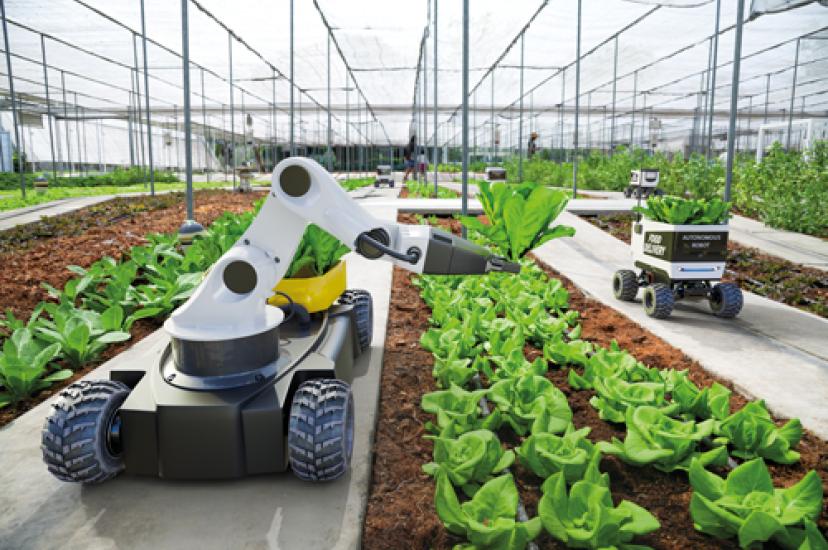 Spectroscopy in robotic harvesting