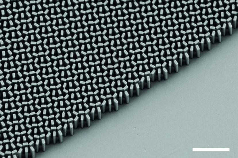 Electron microscope micrograph of a metalens 