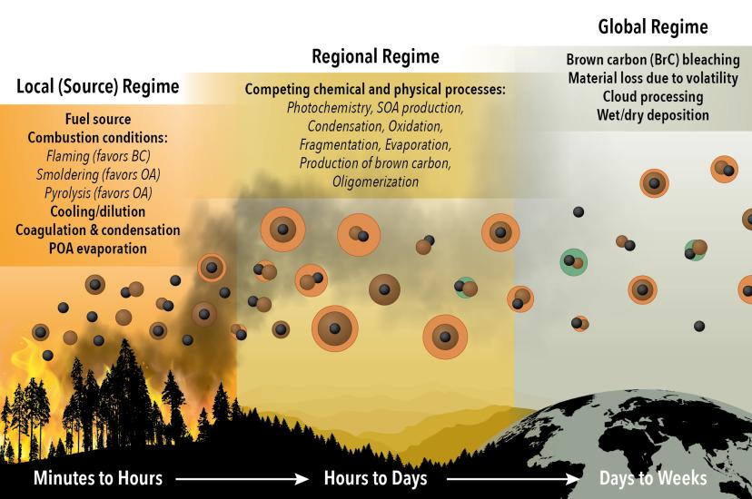 Sampling soot-based biomass particles