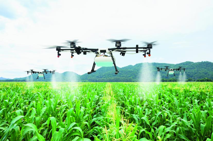 Drone spraying crops