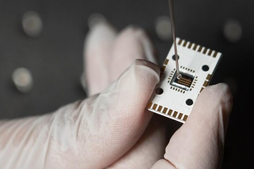 Fingerprint-size spectroscopy sensor