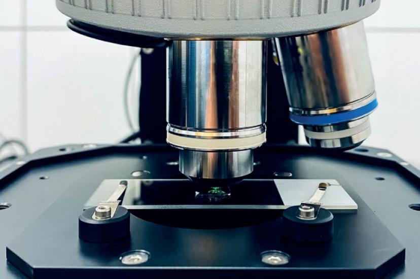 Optical filters bring value to Raman spectroscopy