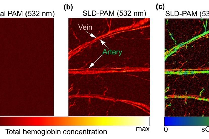 SLD-PAM