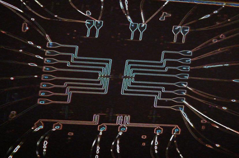 The electrically controlled coupled cavity array in the team’s new silicon photonic chip (Image: UW ECE)