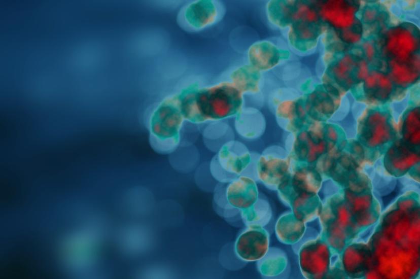 Cells shutterstock