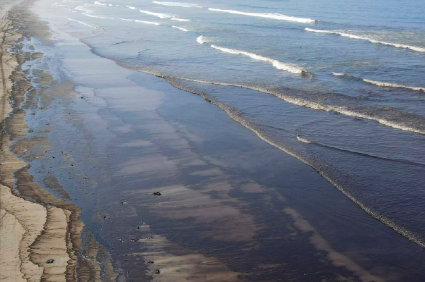 The researchers identified cork as suitable candidate for helping with oil spill clean-ups after coming across its wettability during another project (Image: EcoHubMap)