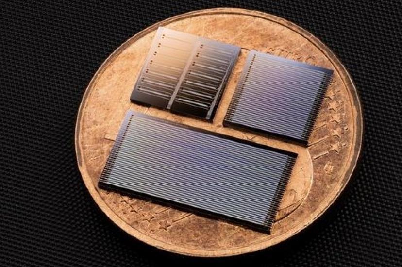 Lithium tantalate photonic integrated circuits
