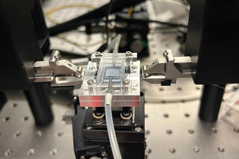 The testing setup for the photonic chip sensor included a microfluidic chamber to transport analyte solutions and optical fibres