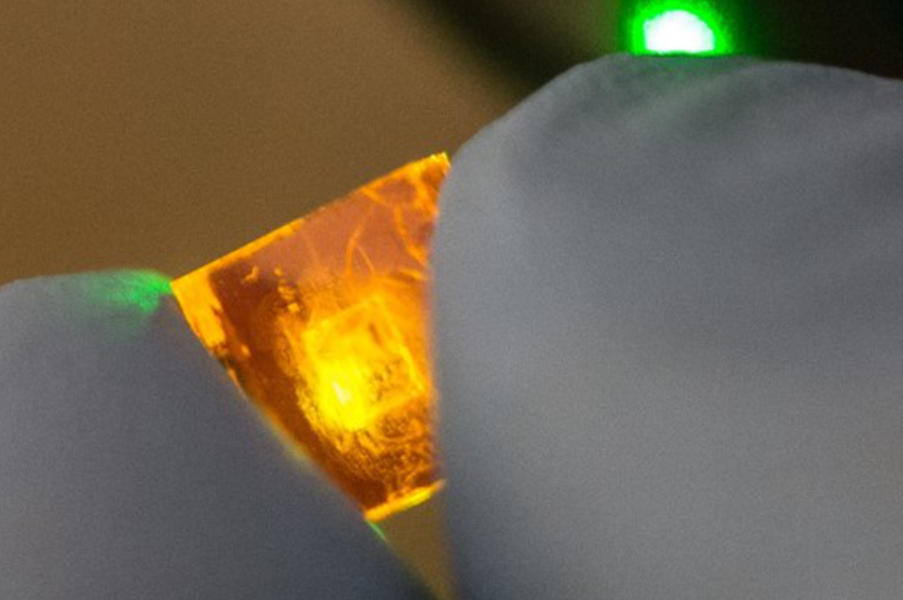 Halide Perovskite Crystal