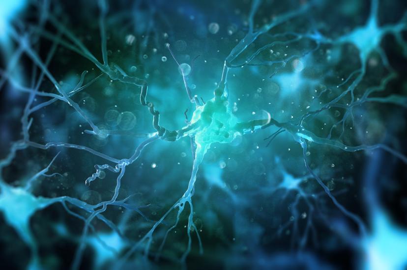 Neurophotonics products