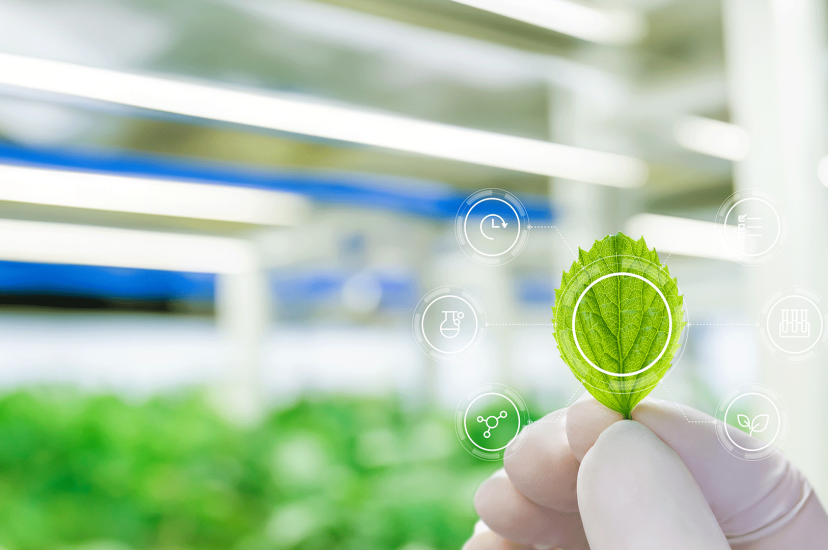 Photonics in environmental monitoring
