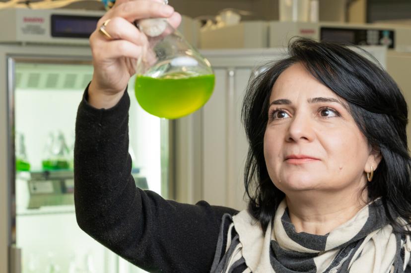 Professor Yagut Allahverdiyeva-Rinne, Professor, Molecular Plant Biology 