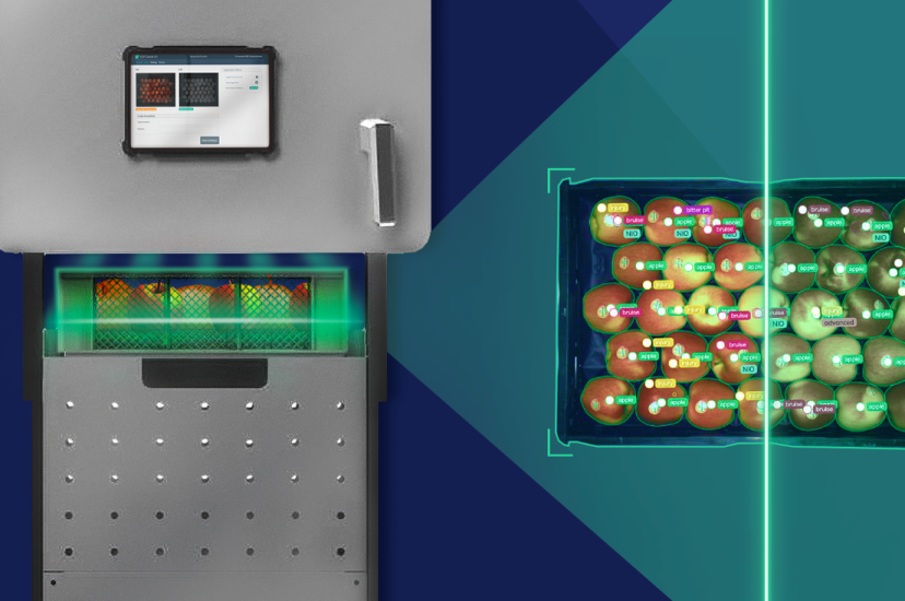 A fruit scanner machine examines a box of apples
