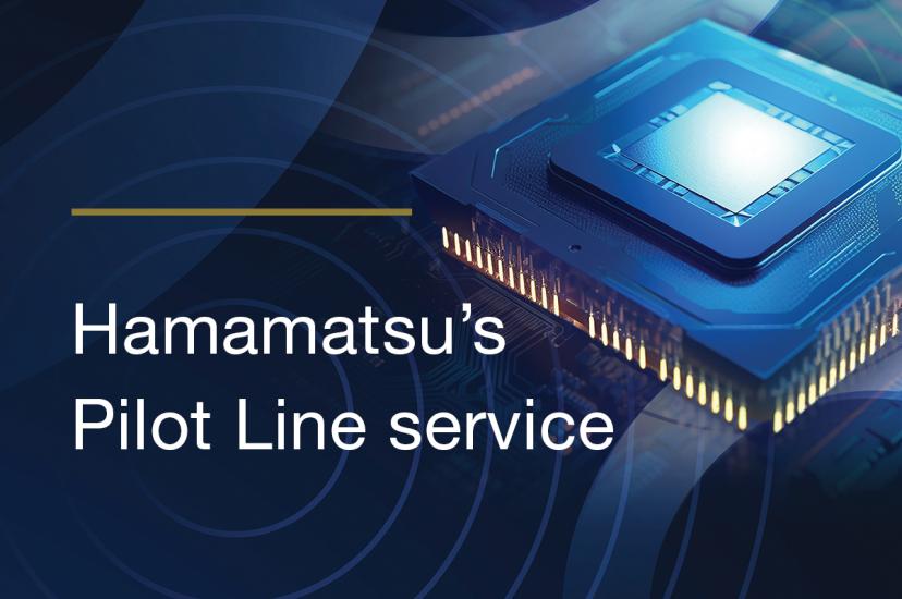 Hamamatsu Pilot Lines
