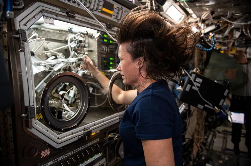 NASA astronaut Megan McArthur works in the Microgravity Science Glovebox aboard the ISS – her experiment is exploring methods of crystallising melts in microgravity [Image: NASA]