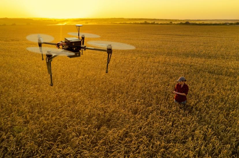 Hyperspectral imaging agriculture