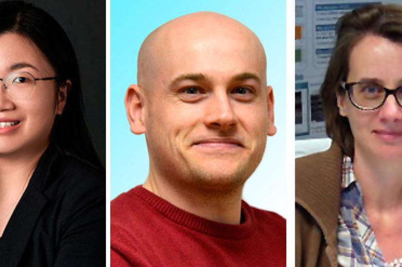 Fenglin Peng, Kayn Forbes and Vicky Philipsen
