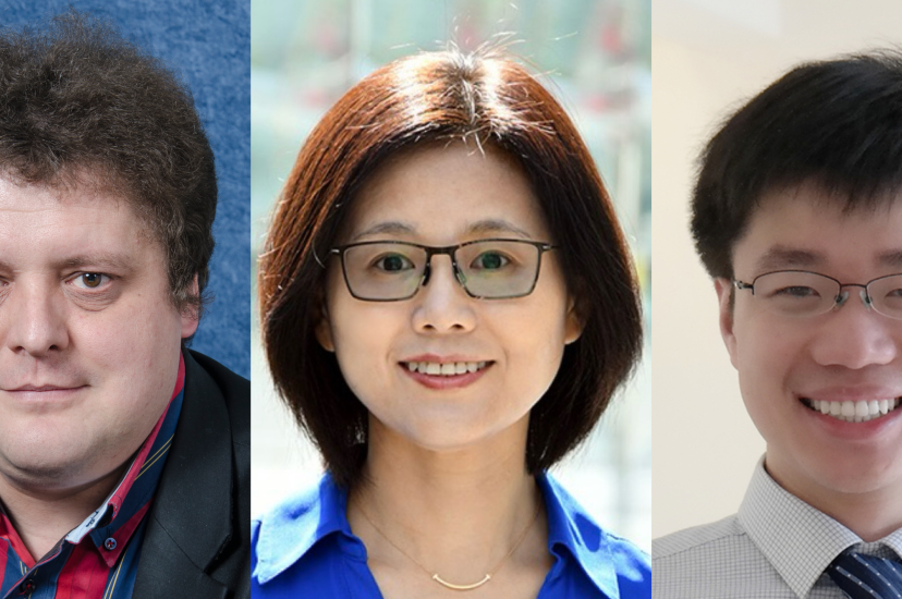 Igor Meglinski  / Meng Wang / Junjie Yao