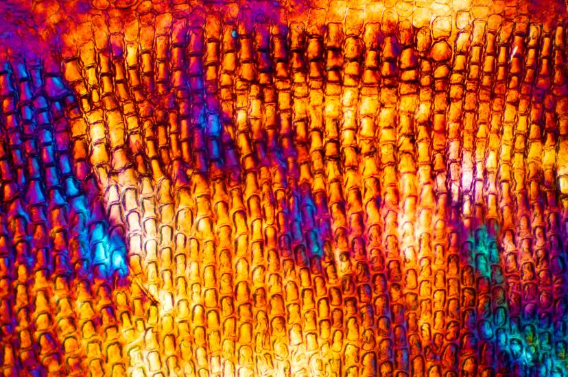 Early-stage collaboration ensures complex filter designs achieve the precise spectral separation required for real-world multispectral imaging in biological tissue