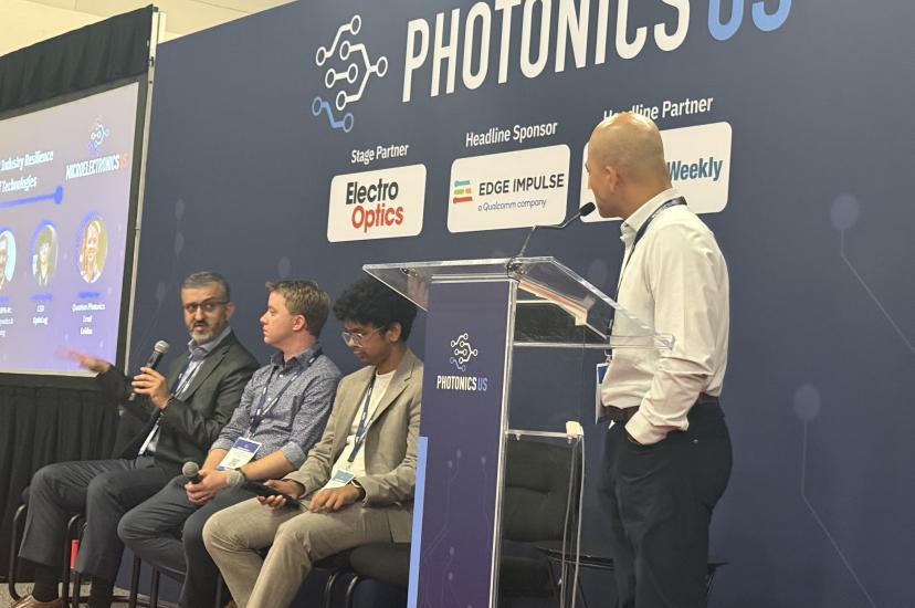 Microelectronics US panel