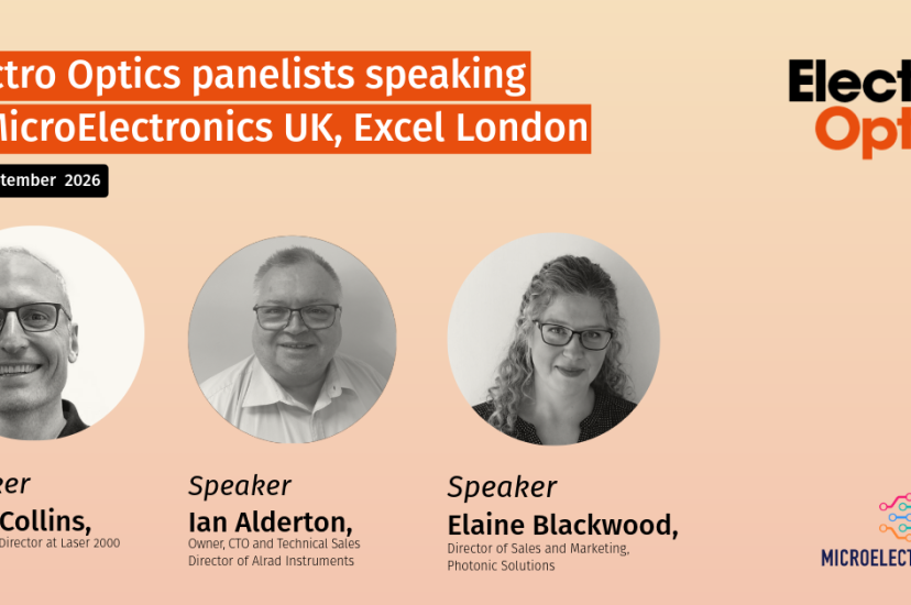 Microelectronics UK panel