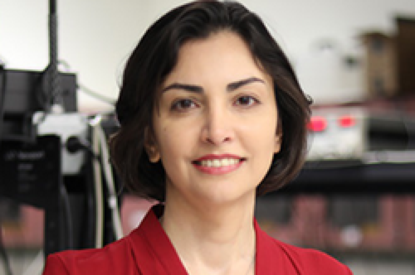 Mona Jarrahi, Professor of electrical and computer engineering, UCLA