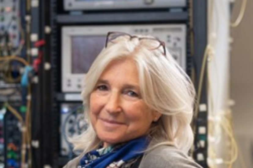 Polina Bayvel, Head, Optical Networks Group, Professor of Optical Communications & Networks, Dept of Electronic & Electrical Engineering, UCL