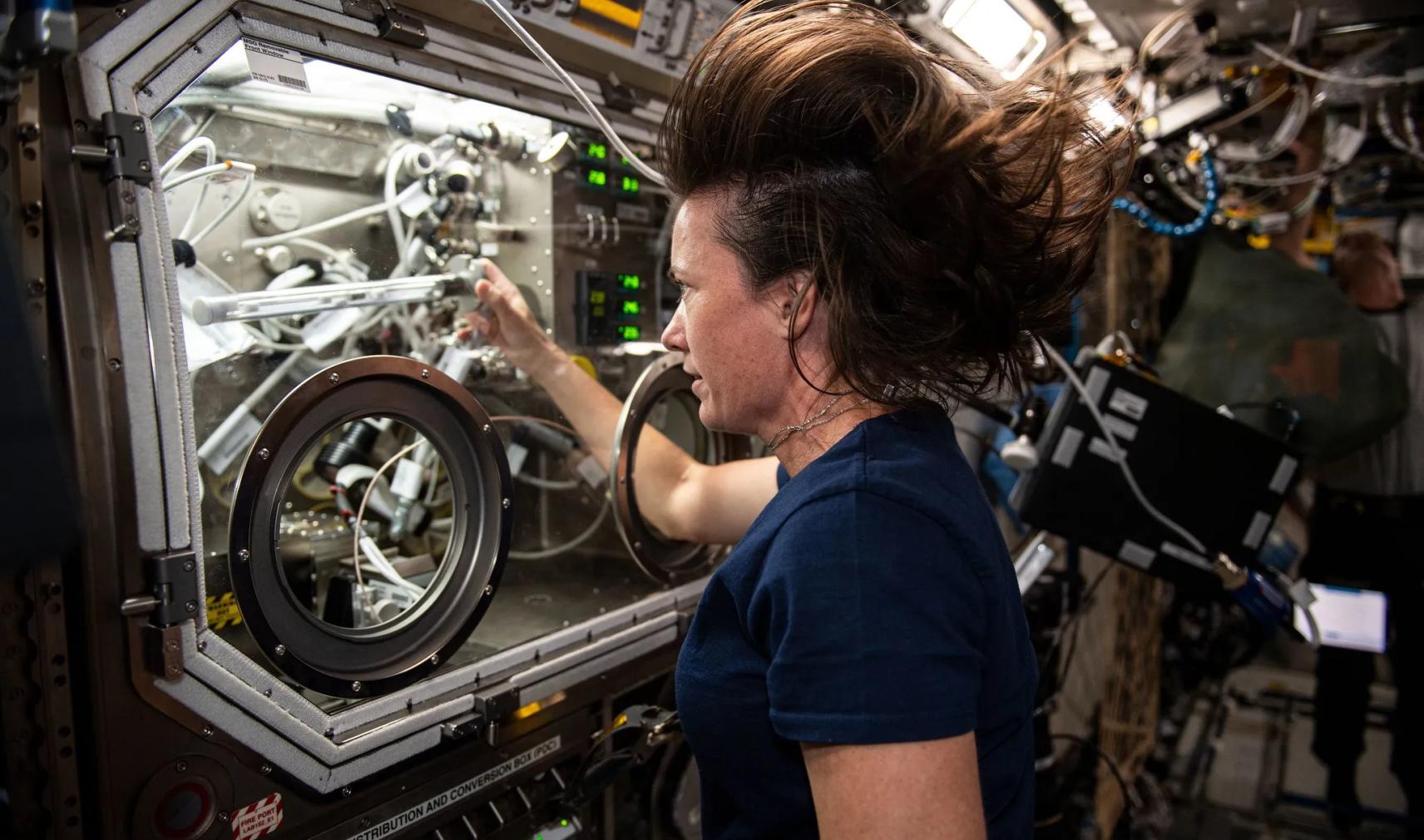 NASA astronaut Megan McArthur works in the Microgravity Science Glovebox aboard the ISS – her experiment is exploring methods of crystallising melts in microgravity [Image: NASA]