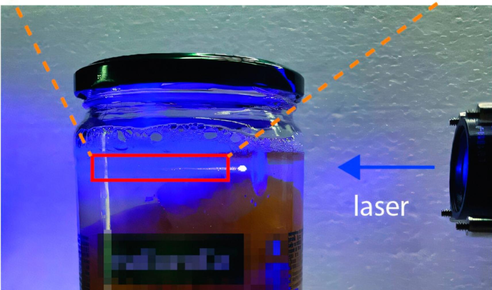 Edible microlasers embedded within peach compote
