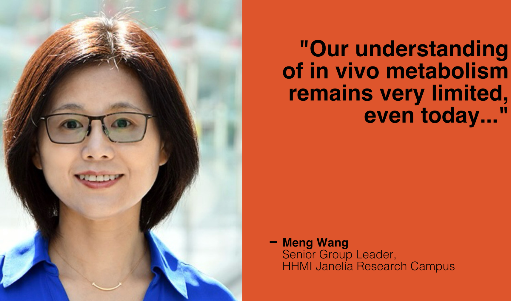Meng Wang, Senior Group Leader at HHMI Janelia Research Campus
