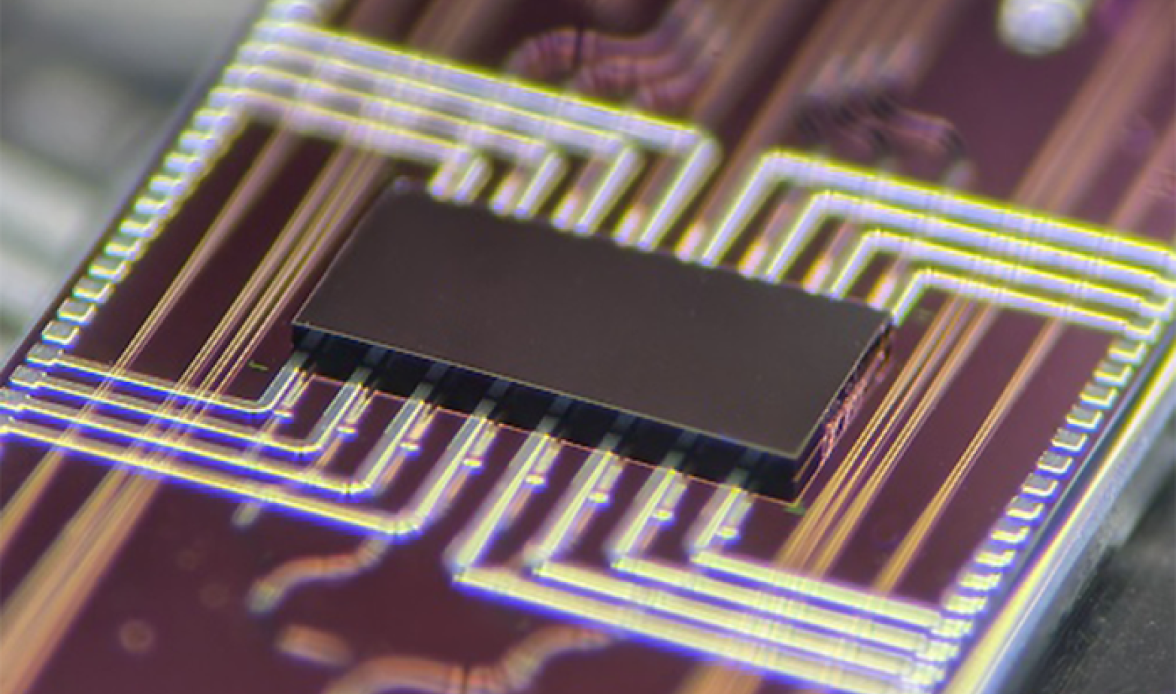 Photon Bridge multi-wavelength light engine