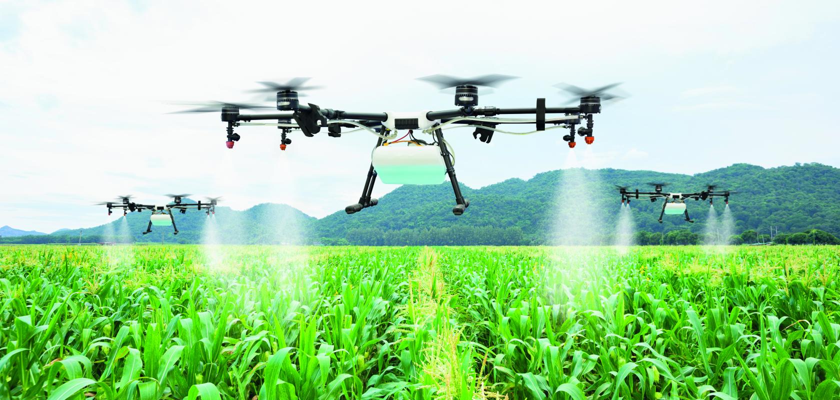 Drone spraying crops