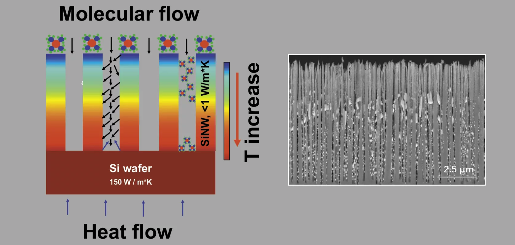 Tin Thin Film Coatings