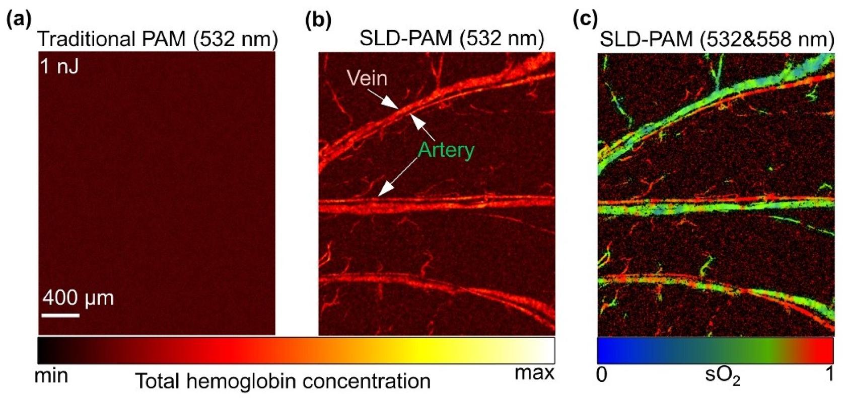 SLD-PAM