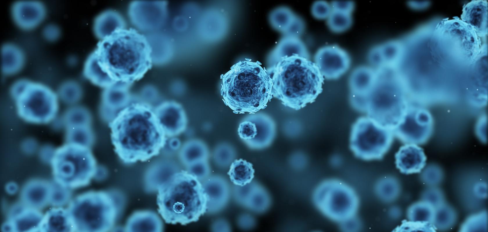 Virus particle