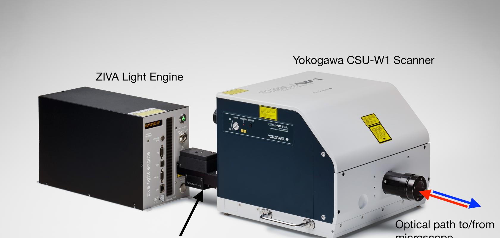 Figure 2: Layout of the ZIVA Light Engine coupled to the Yokogawa CSU confocal scanner