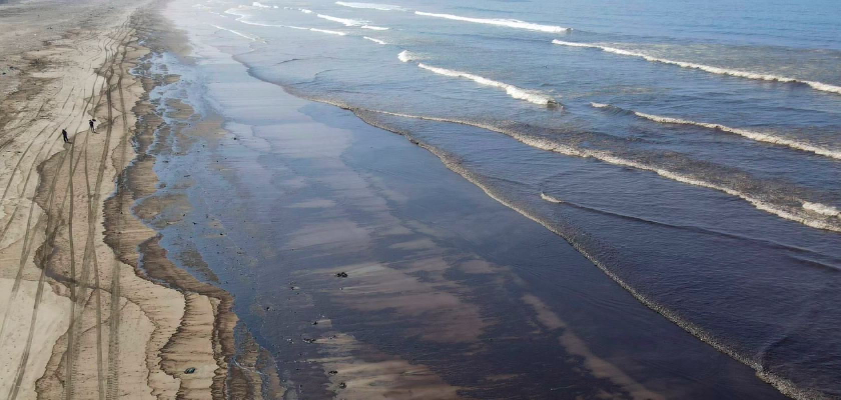 The researchers identified cork as suitable candidate for helping with oil spill clean-ups after coming across its wettability during another project (Image: EcoHubMap)
