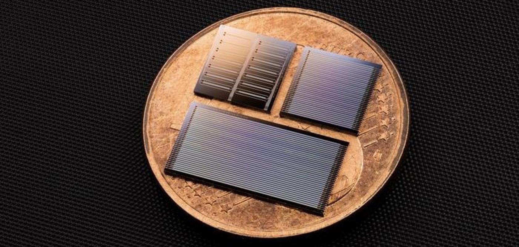 Lithium tantalate photonic integrated circuits