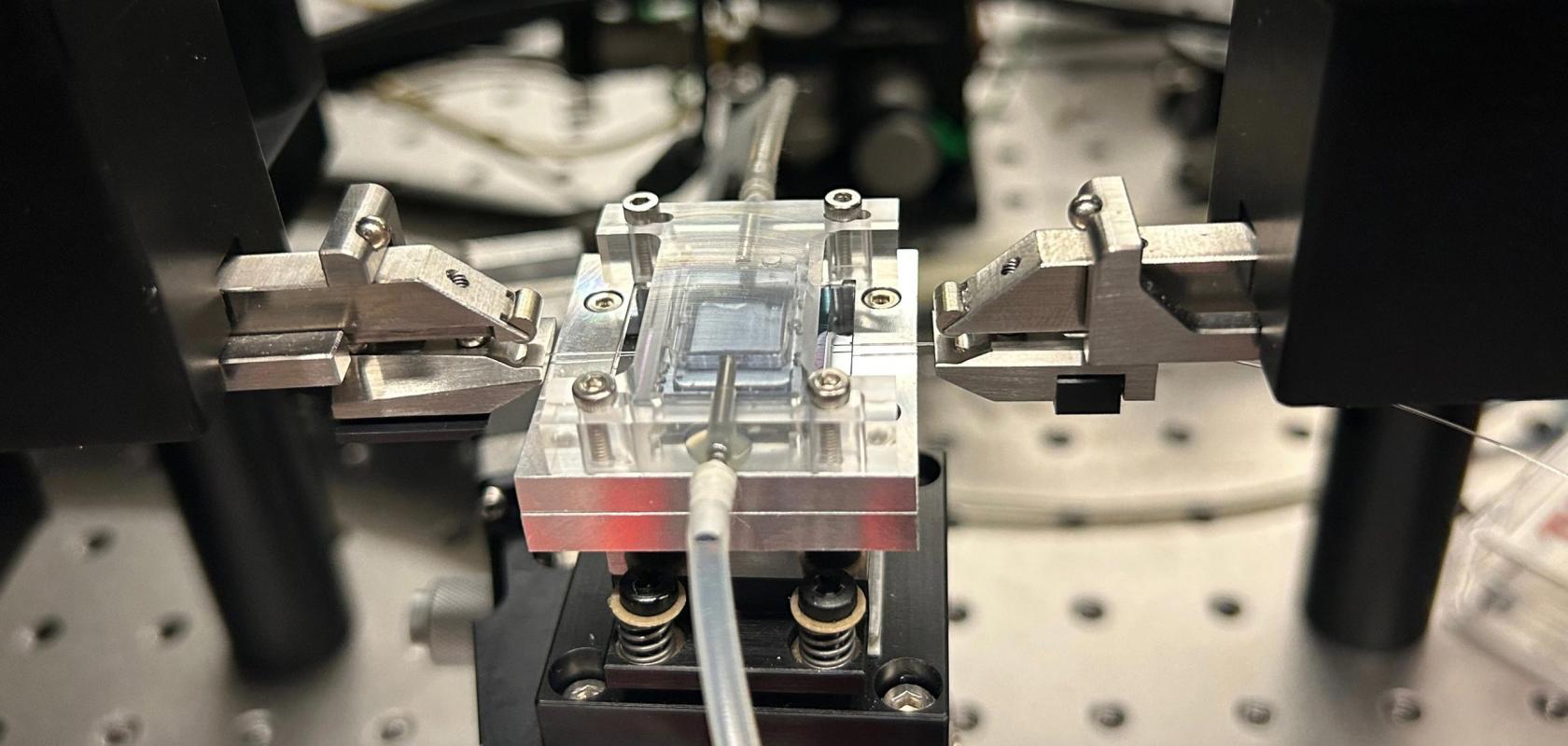 MIT engineers use a photonics chip to measure lead levels in drinking water The testing setup for the photonic chip sensor included a microfluidic chamber to transport analyte solutions and optical fibres