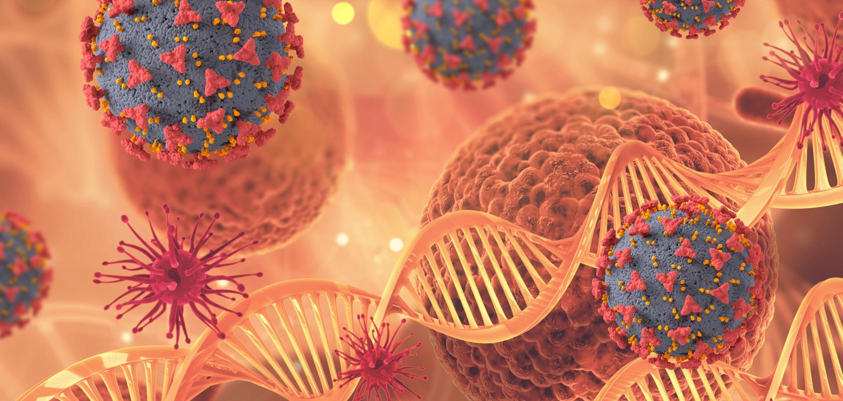 Photonics in medicine 3D medical imaging