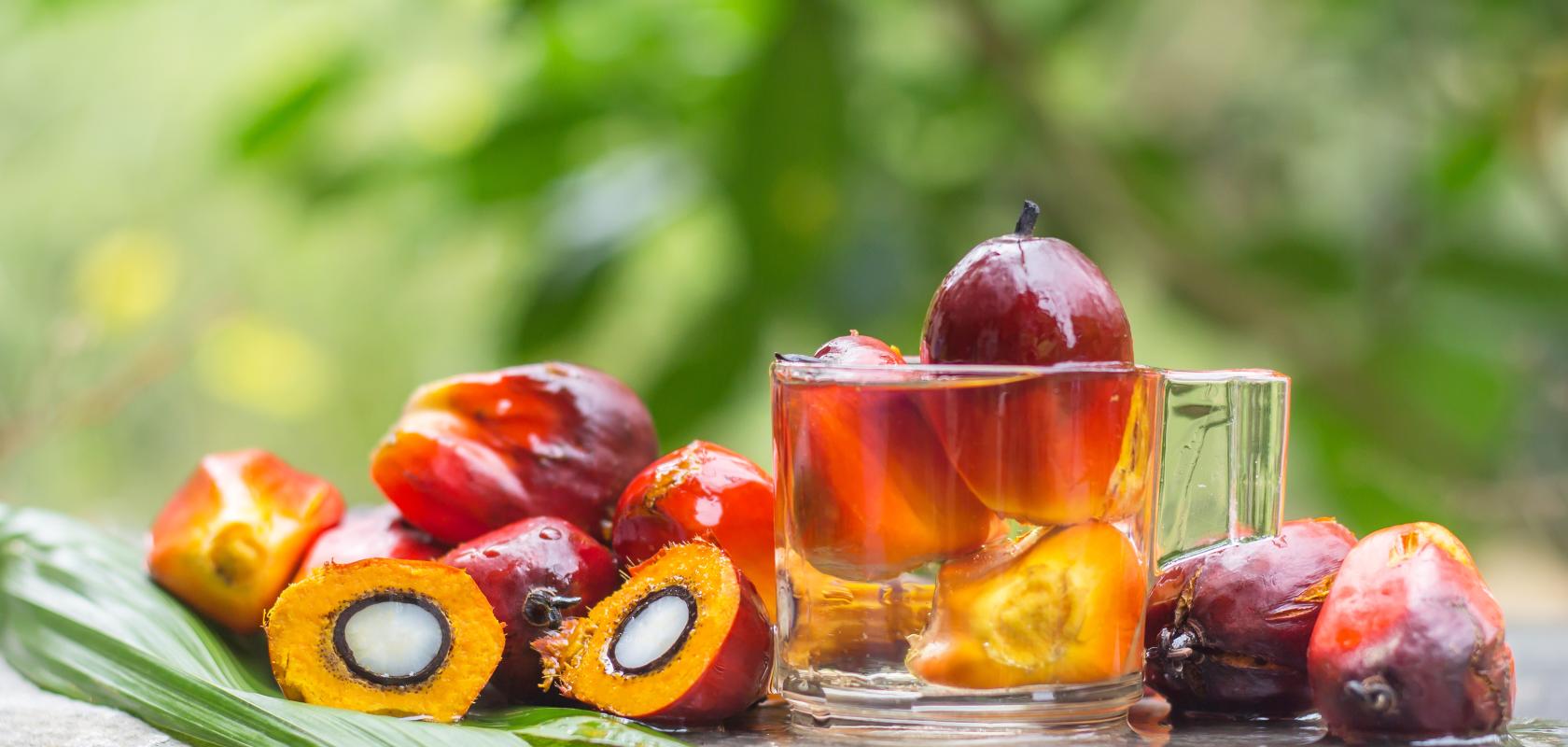 Edible palm oil extracted from the fruit 