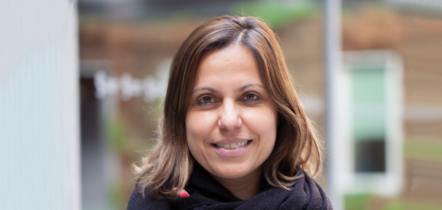 Eleni Diamanti, Research Director, CNRS