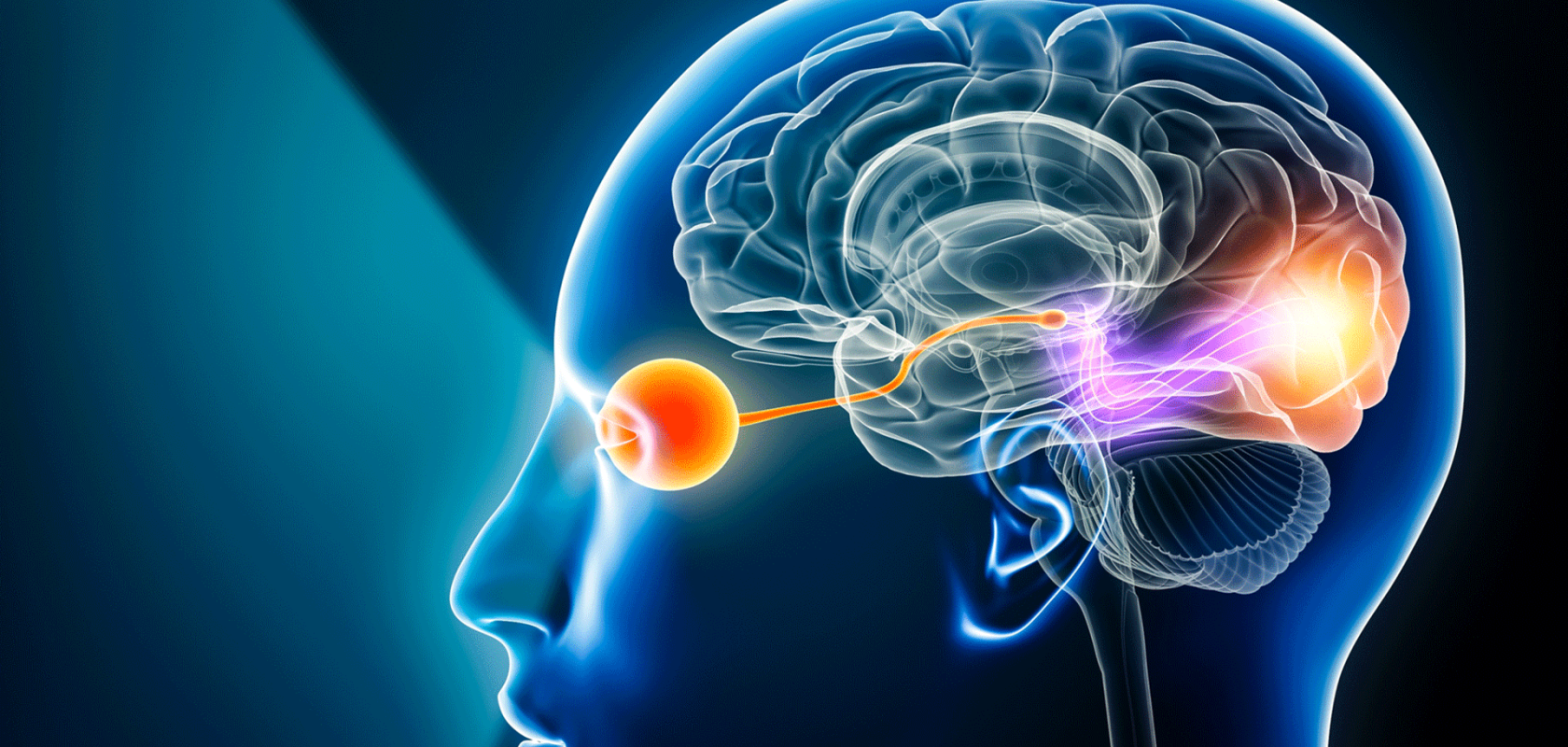 Applications of optical devices in biomedical sensing