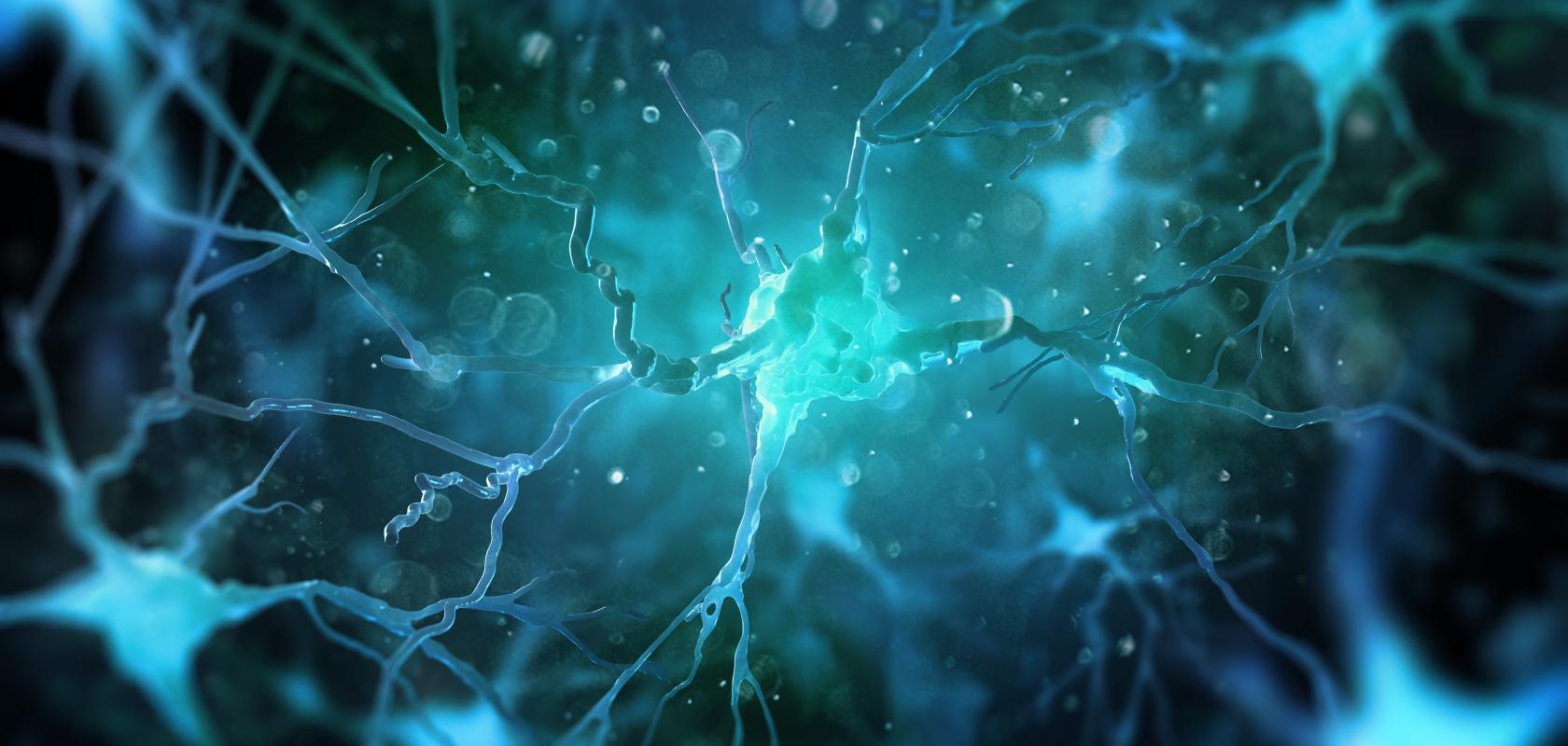 Neurophotonics products