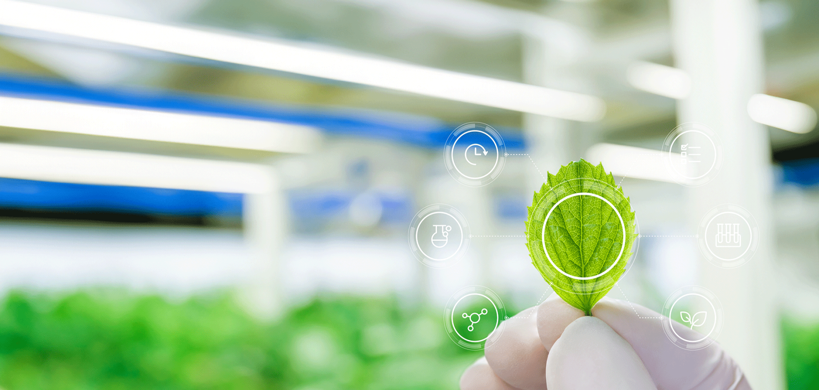 Photonics in environmental monitoring