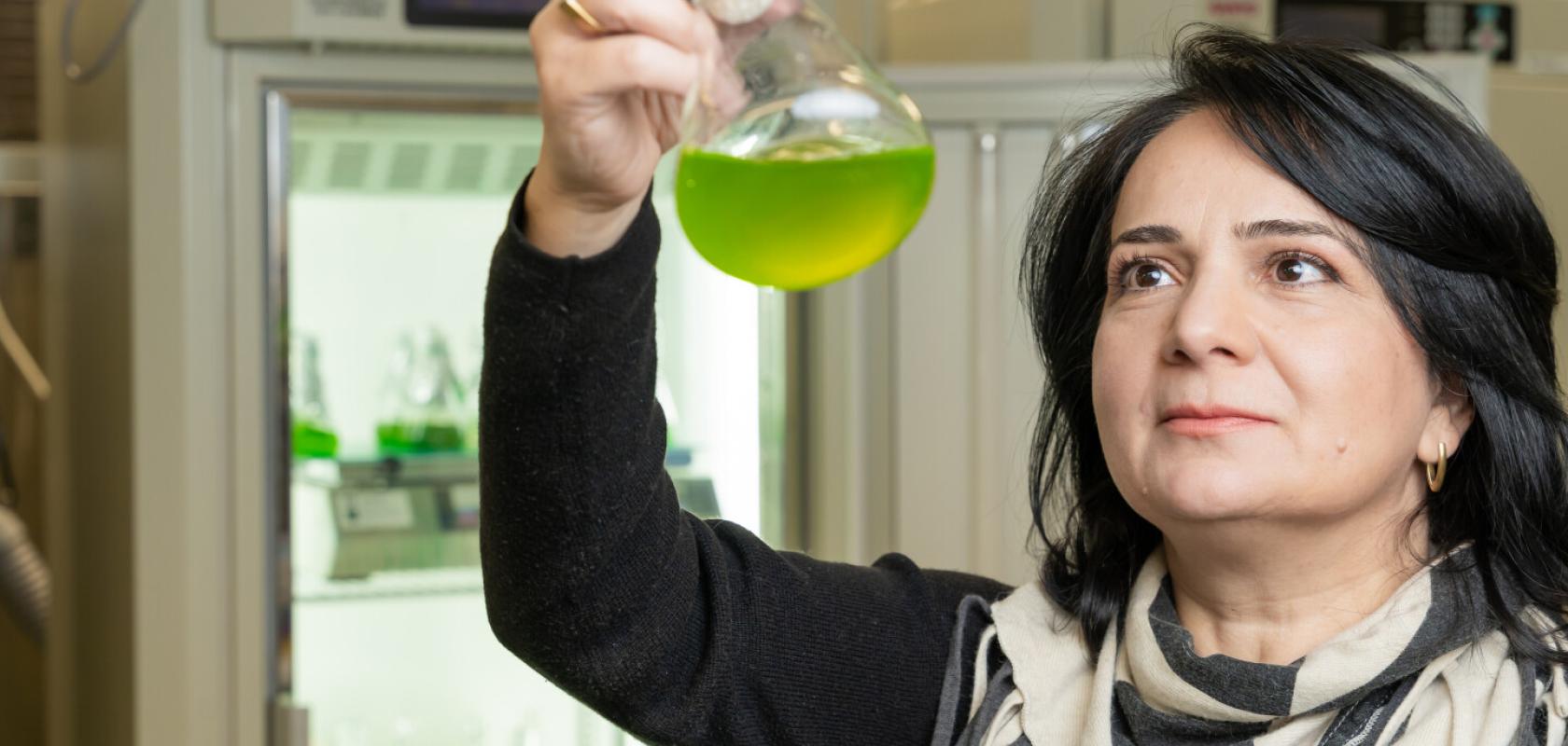 Professor Yagut Allahverdiyeva-Rinne, Professor, Molecular Plant Biology 